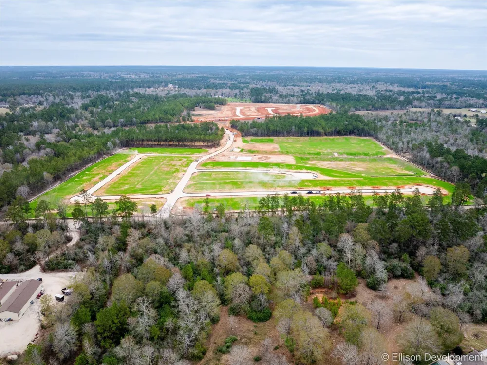 13011 Mccrorey Trails Drive Conroe, TX 77303