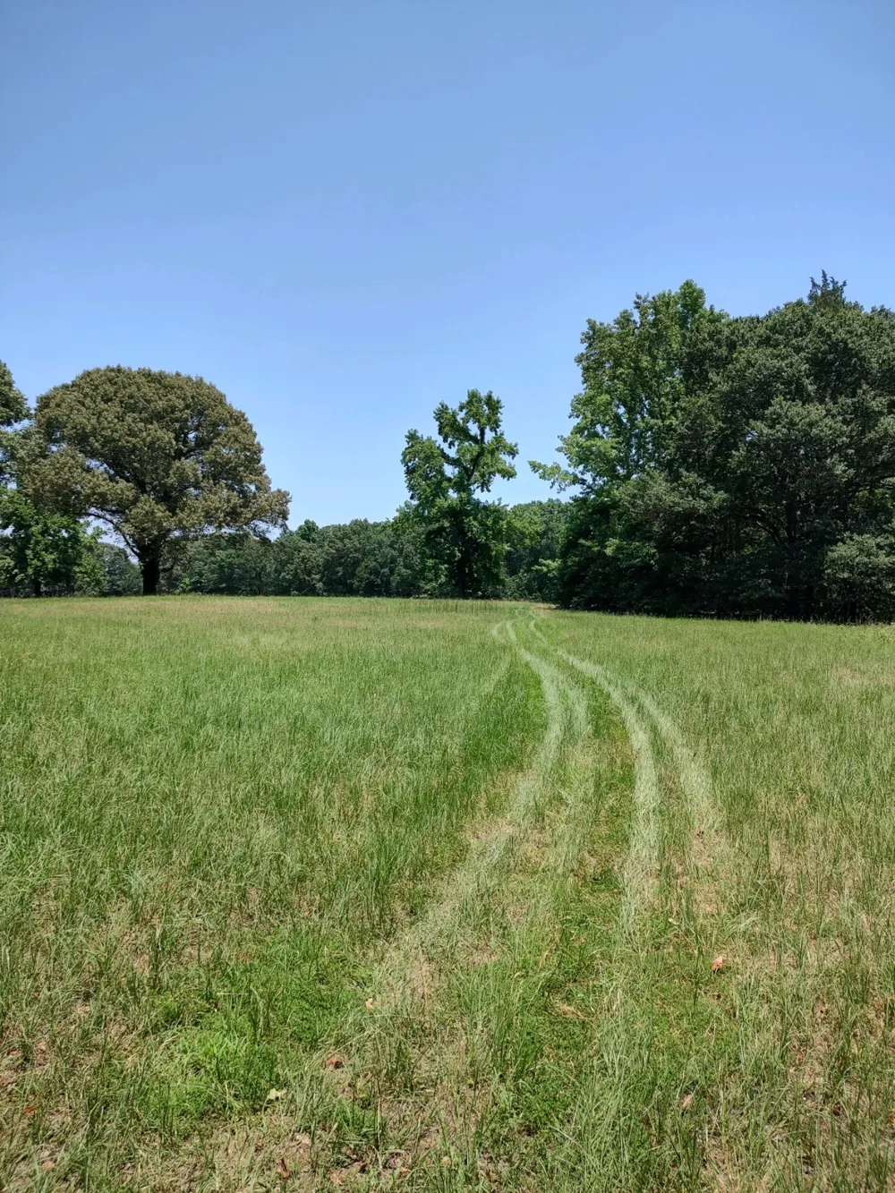 1061 County Road 1807 Yantis, TX 75497