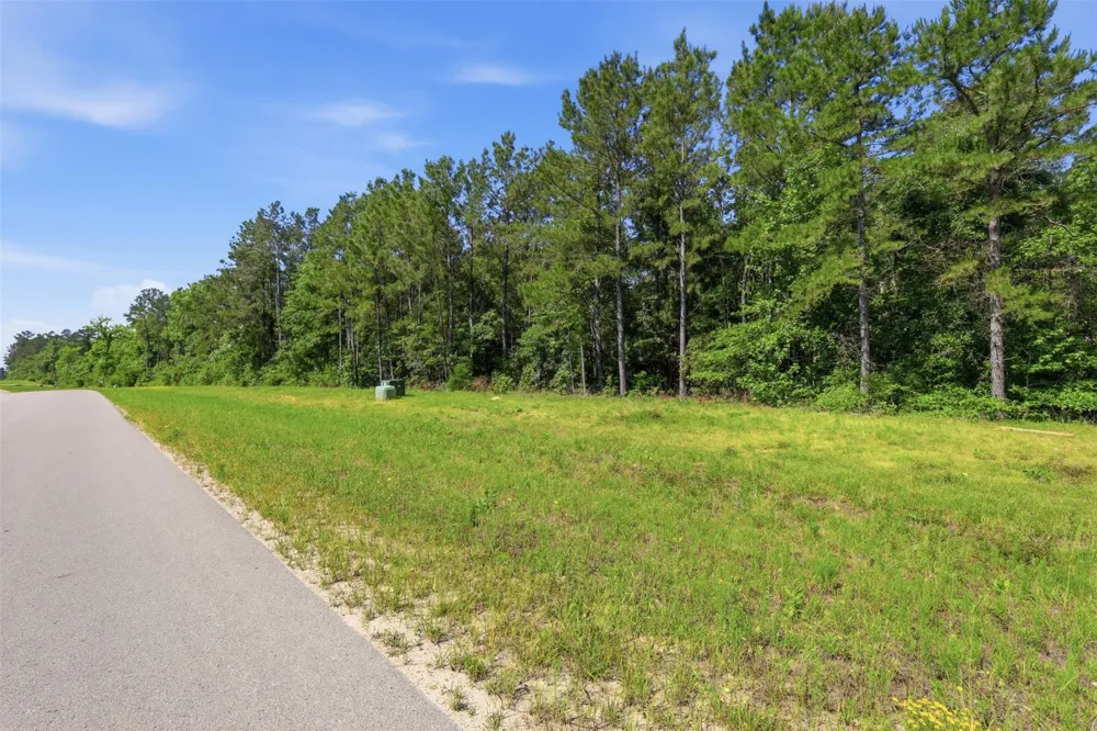 15779 Republic Ranch Road Willis, TX 77378