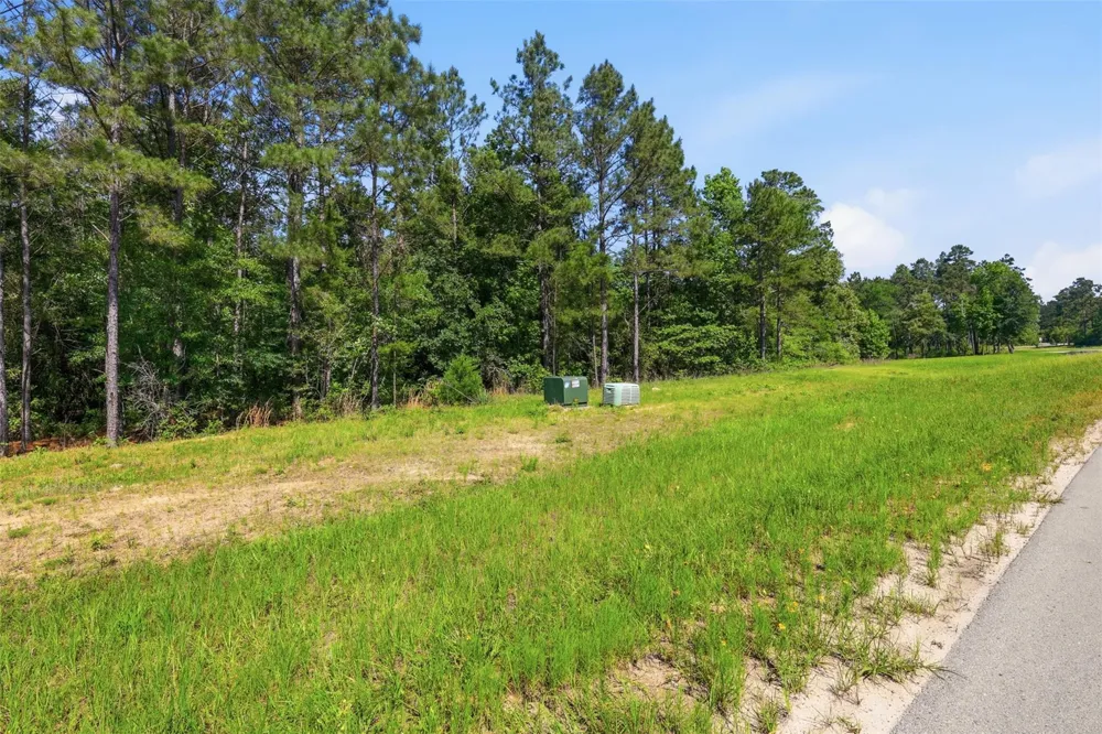 15779 Republic Ranch Road Willis, TX 77378