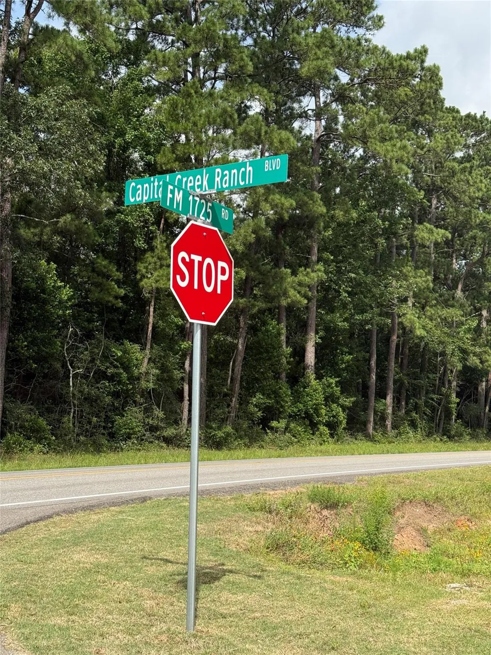 Olde Homestead Lane Willis, TX 77378