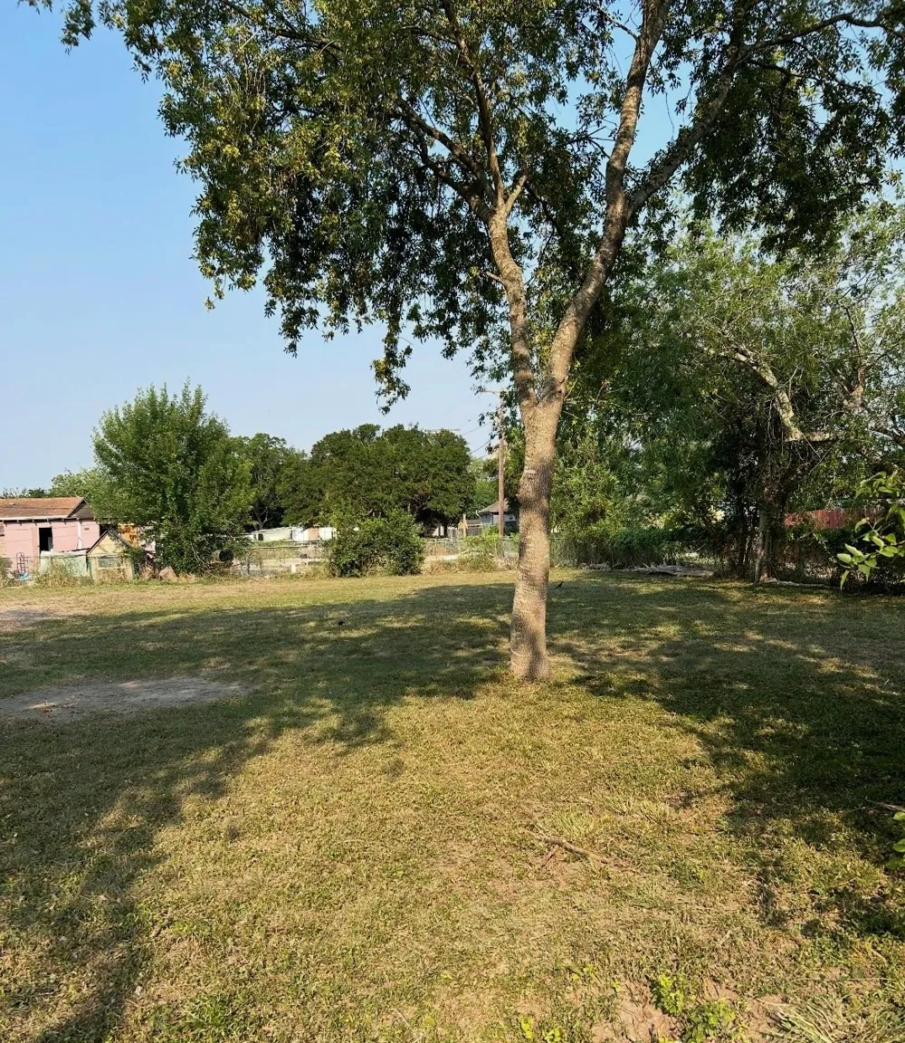 1121 W Jefferson Avenue Harlingen, TX 78550