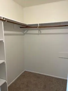 4506 Stallion Brook Lane Spring, TX 77388