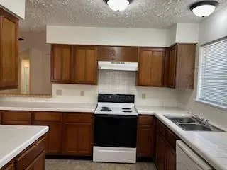 4506 Stallion Brook Lane Spring, TX 77388