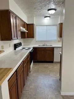 4506 Stallion Brook Lane Spring, TX 77388