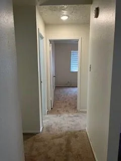 4506 Stallion Brook Lane Spring, TX 77388
