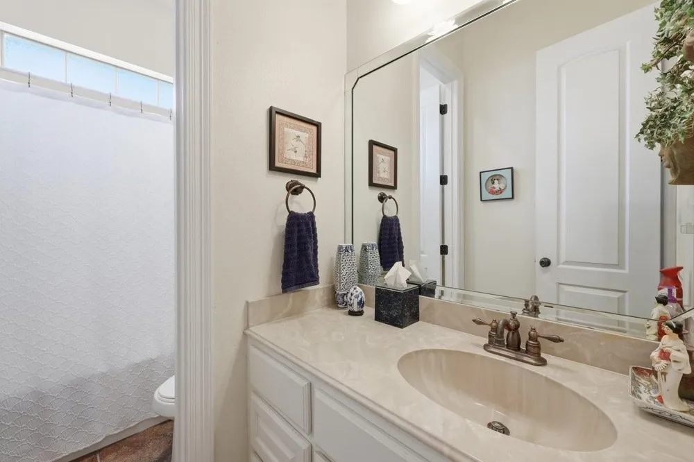 420 River Birch Drive Lumberton, TX 77657