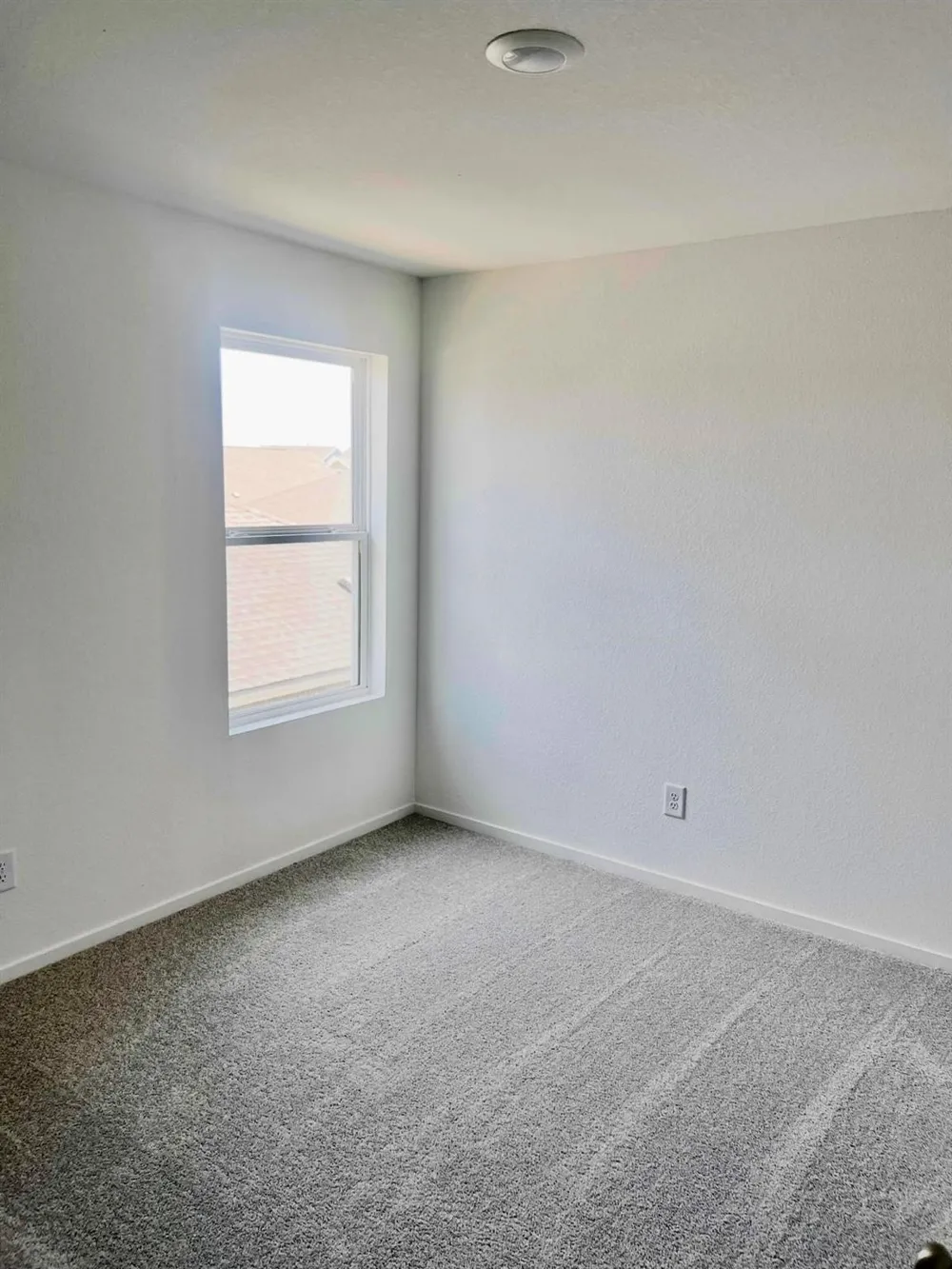 29023 Great Flatland Trail Hockley, TX 77447