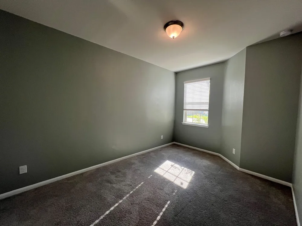 1131 Bluebonnet Trail Bellville, TX 77418
