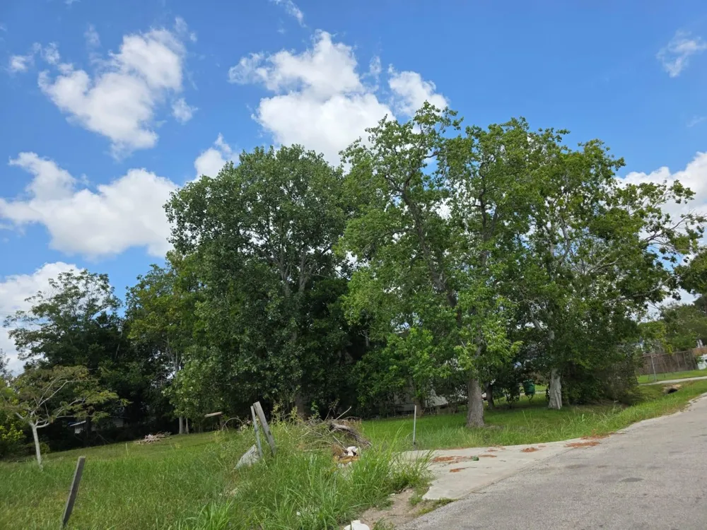 8914 Brandon Street Houston, TX 77051