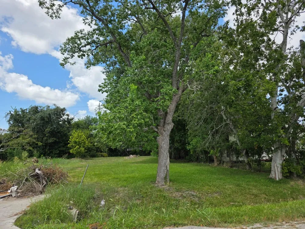 8914 Brandon Street Houston, TX 77051