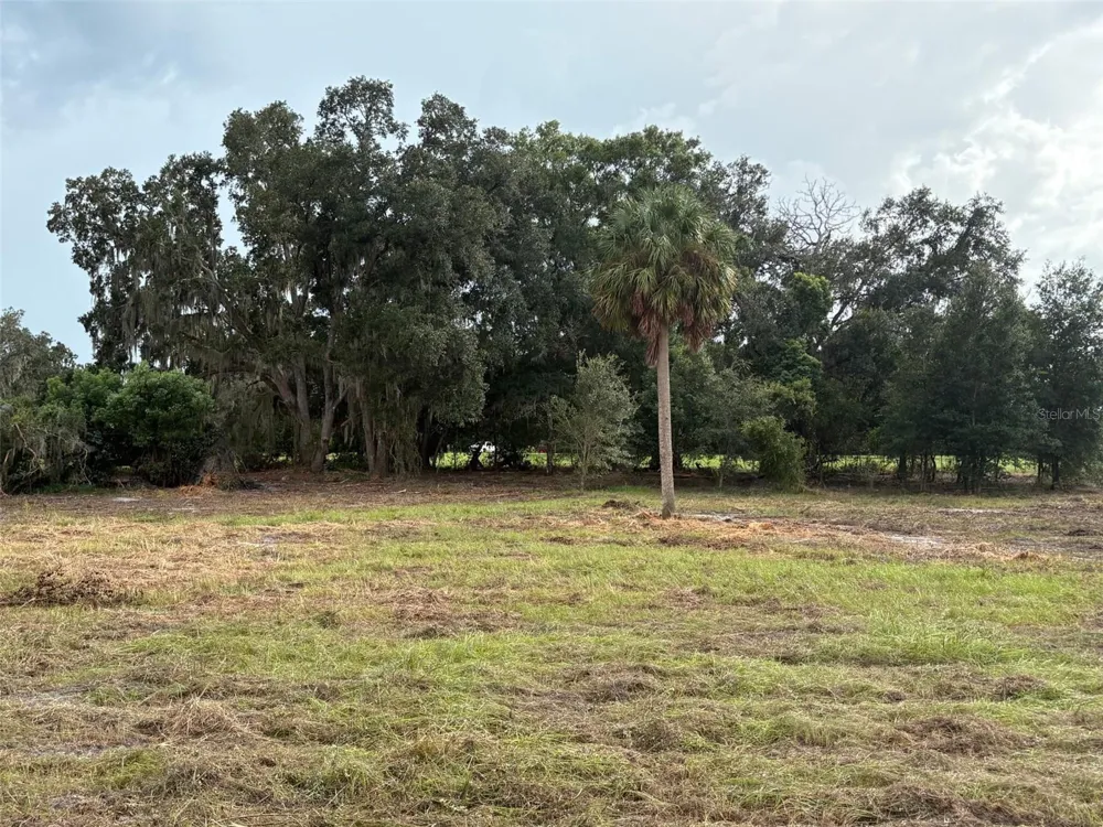 PUMP STATION RD Land O Lakes, FL 34639