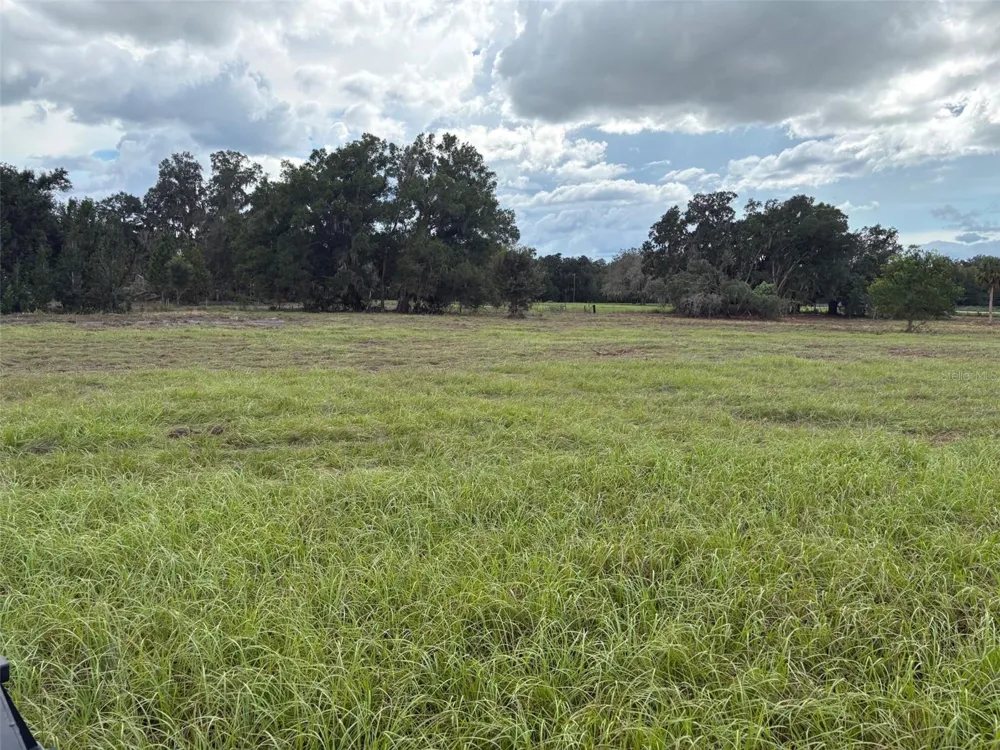 PUMP STATION RD Land O Lakes, FL 34639