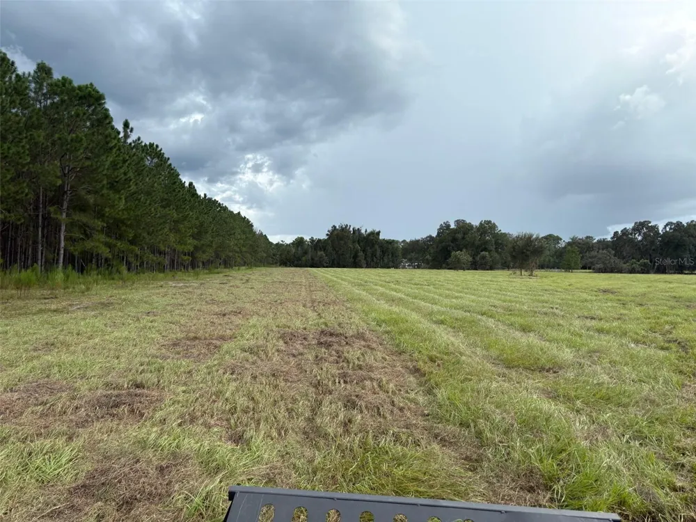 PUMP STATION RD Land O Lakes, FL 34639