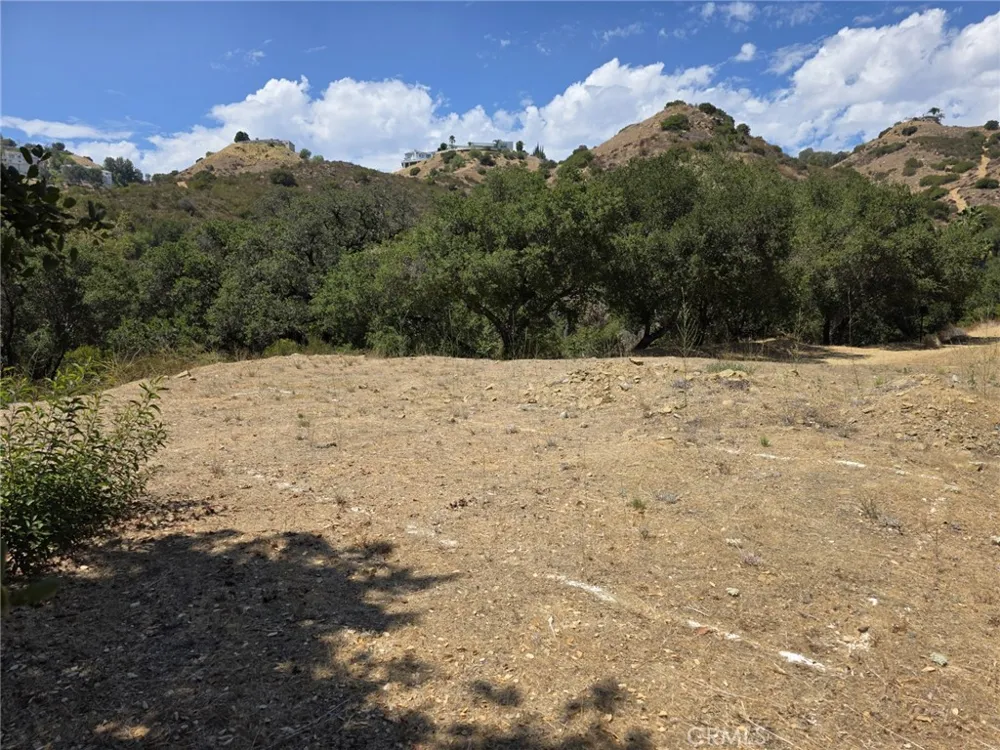 137 Buckskin Bell Canyon, CA 91307