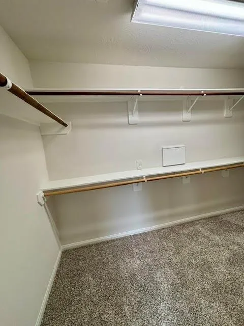 24127 Auburn Woods Court Porter, TX 77365