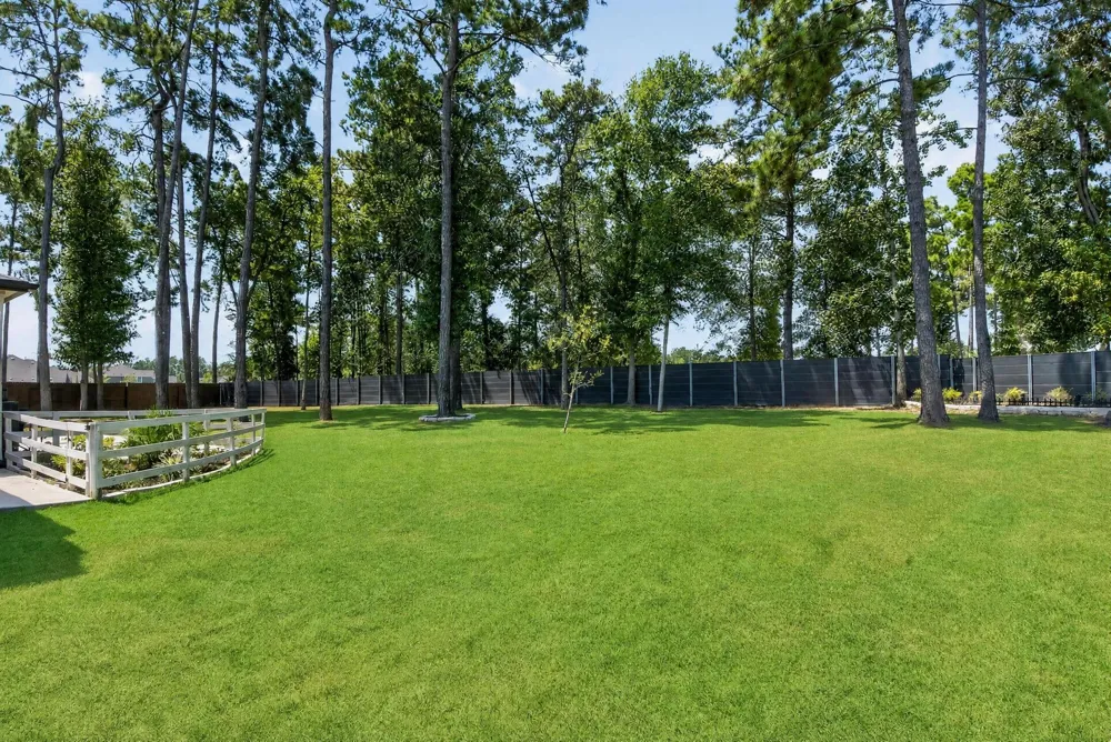 15500 Leopard Lily Lane Conroe, TX 77302