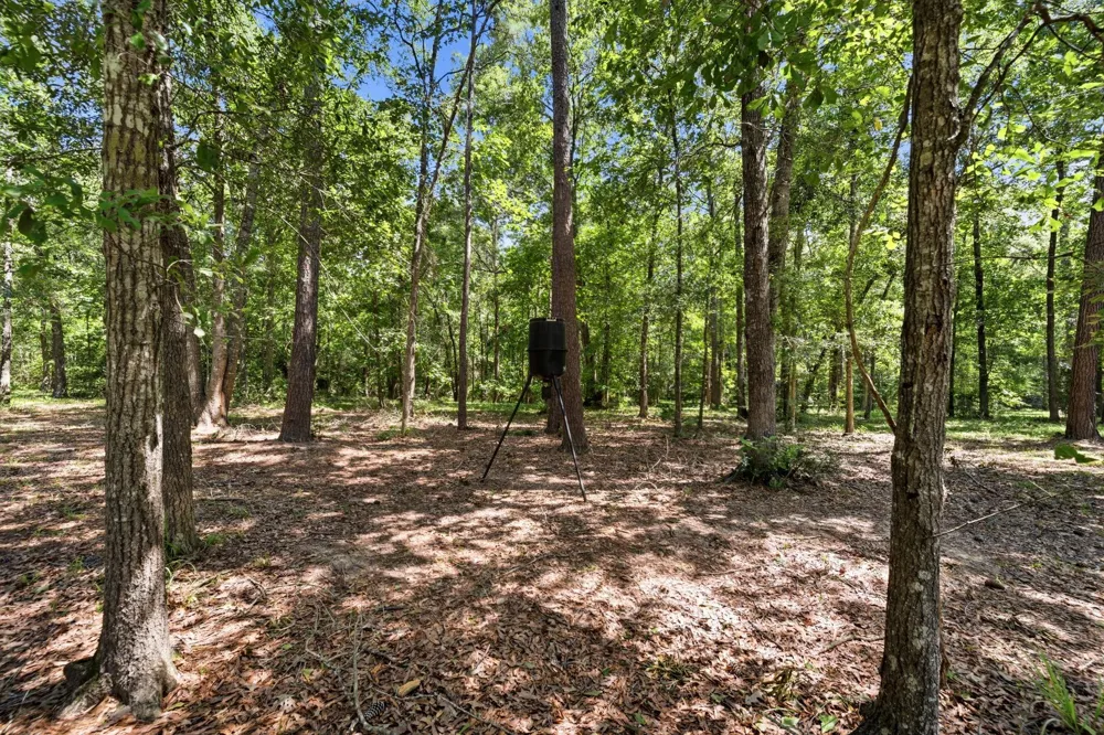 209 County Road 6324 Dayton, TX 77535