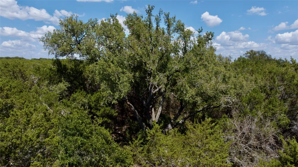 31 Donnie Drive Lampasas, TX 76550