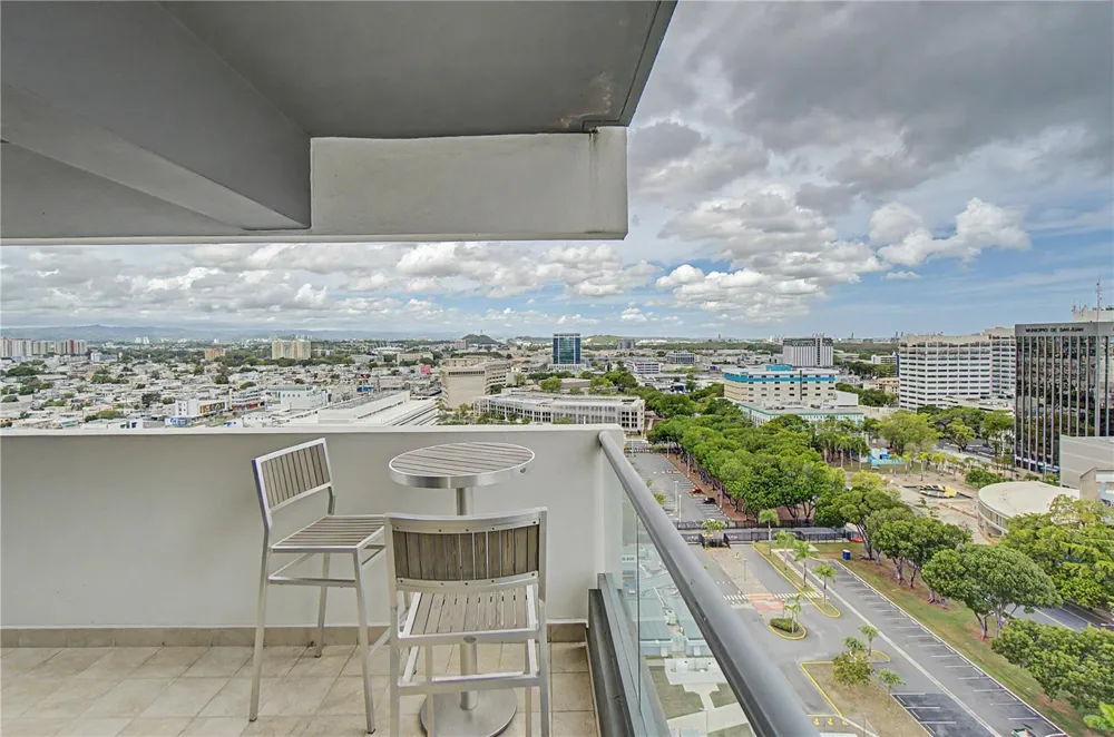 120 AVE CARLOS E. CHARDON #1904 San Juan, PR 00918