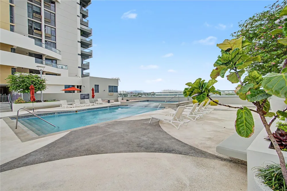 120 AVE CARLOS E. CHARDON #1904 San Juan, PR 00918