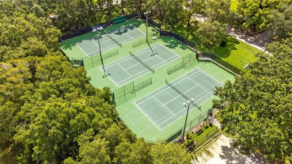 515 W 2ND AVENUE Windermere, FL 34786