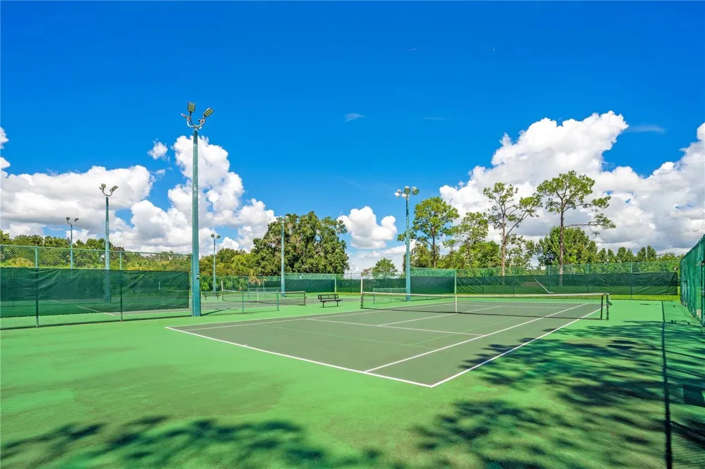 515 W 2ND AVENUE Windermere, FL 34786