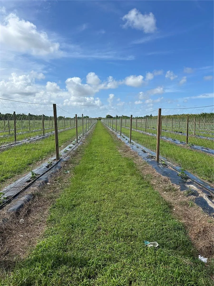 280 Homestead, FL 33033