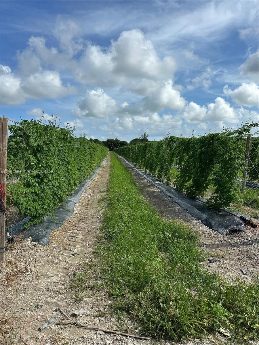 280 Homestead, FL 33033