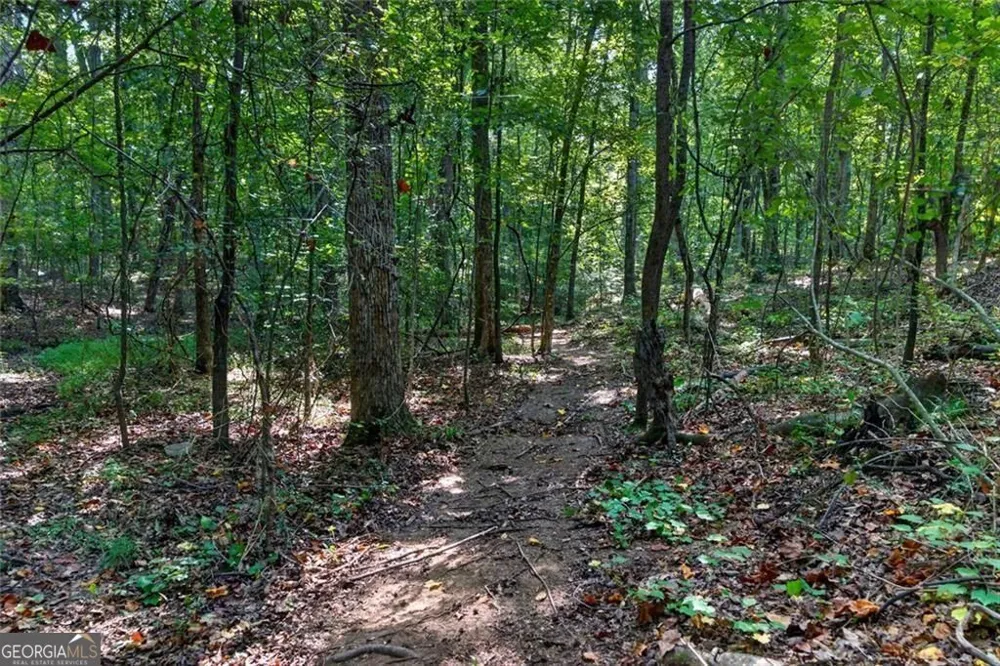 961 Birdie RD Griffin, GA 30223