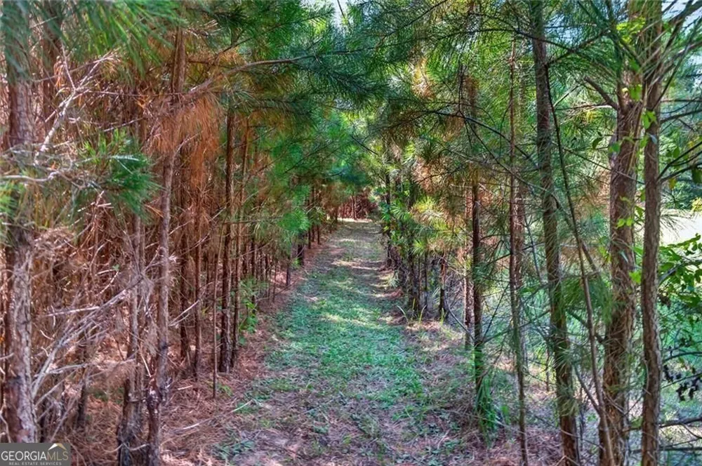 961 Birdie RD Griffin, GA 30223