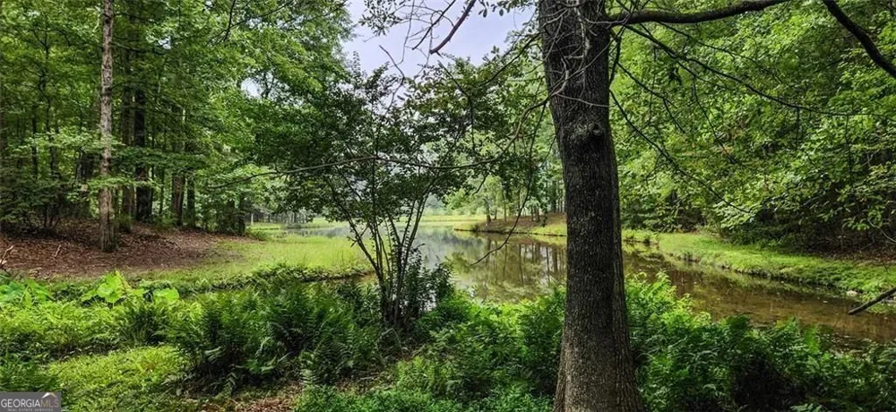 961 Birdie RD Griffin, GA 30223