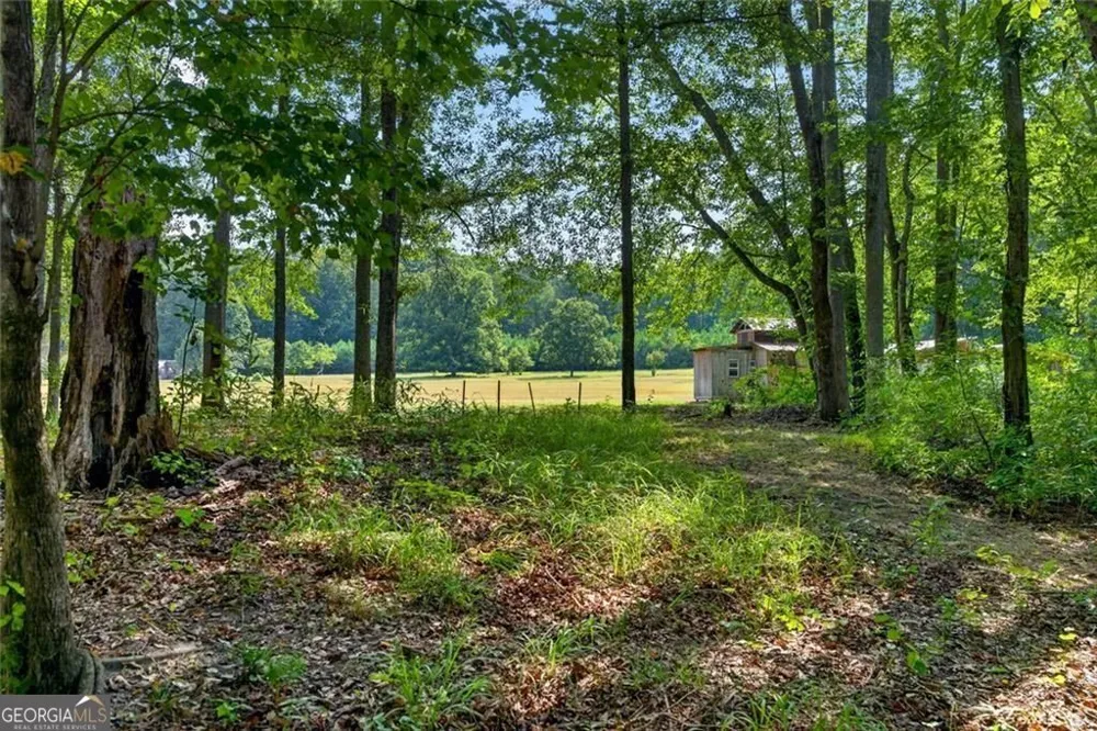 961 Birdie RD Griffin, GA 30223