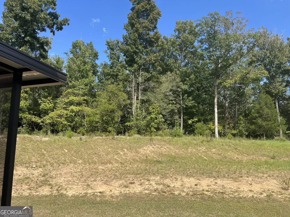 224 Dream Catcher DR Lizella, GA 31052