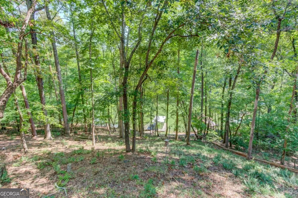 3629 Lakeview DR Gainesville, GA 30501