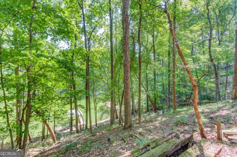 3629 Lakeview DR Gainesville, GA 30501