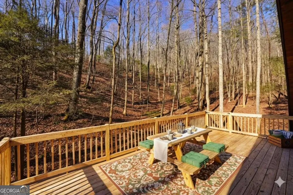 172 Sweetwater RD Blue Ridge, GA 30513