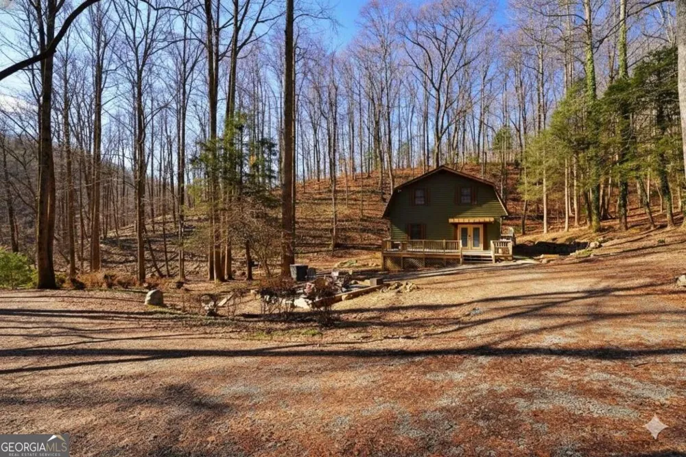 172 Sweetwater RD Blue Ridge, GA 30513