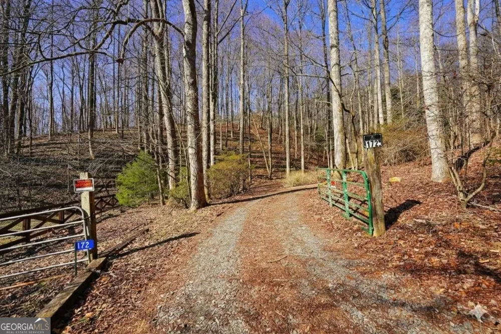 172 Sweetwater RD Blue Ridge, GA 30513