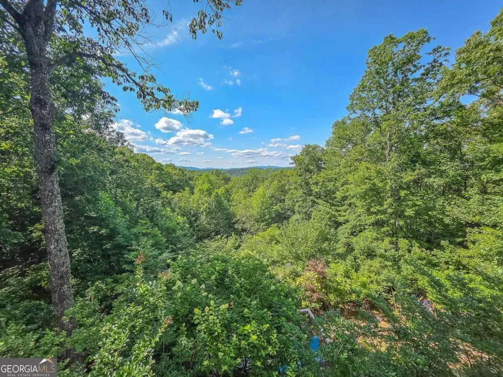 120 Sunrock Mountain TRCE Blue Ridge, GA 30513