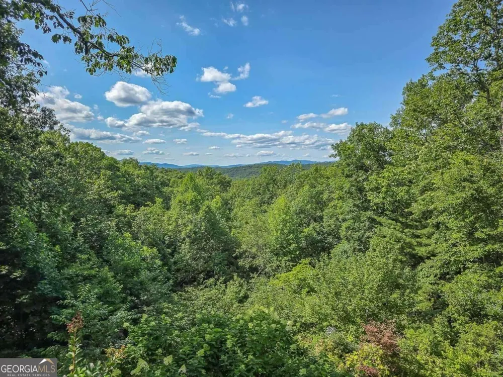 120 Sunrock Mountain TRCE Blue Ridge, GA 30513
