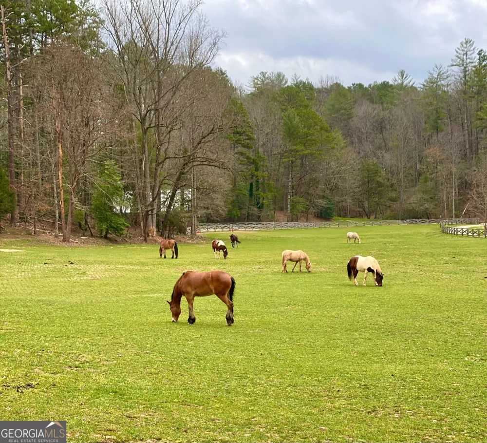 3622 Sandy Ford RD Clayton, GA 30525