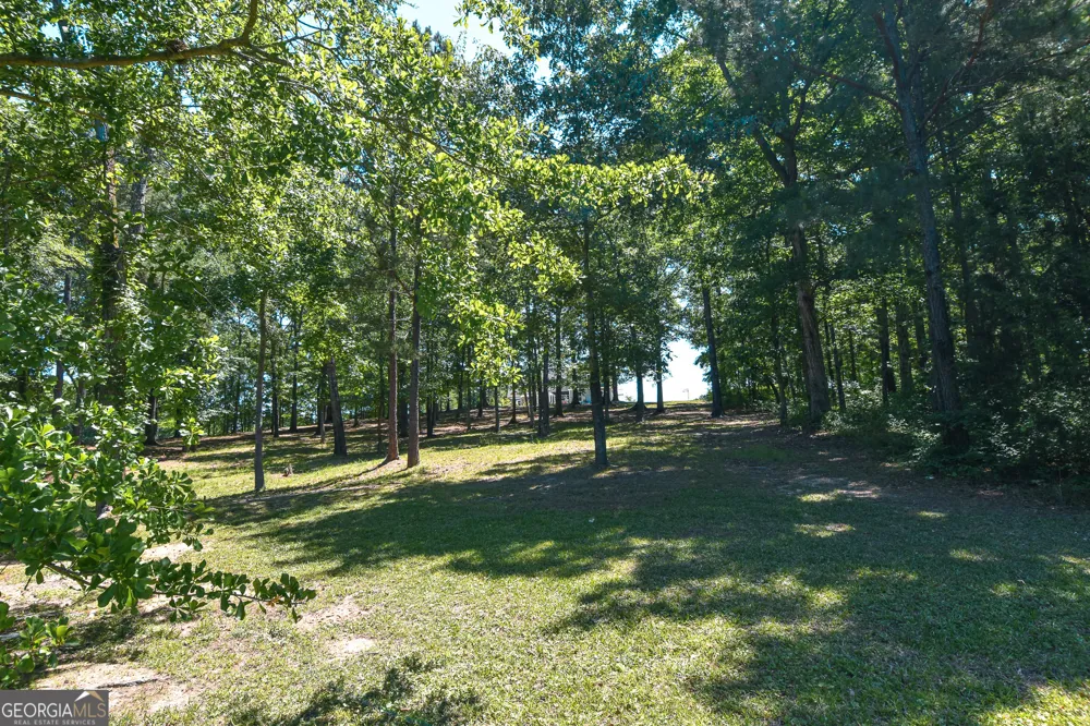 345 Huff Creek Rd Williamson, GA 30292