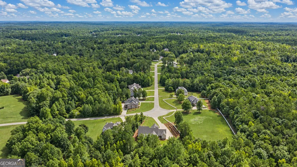 220 Preakness WAY Forsyth, GA 31029