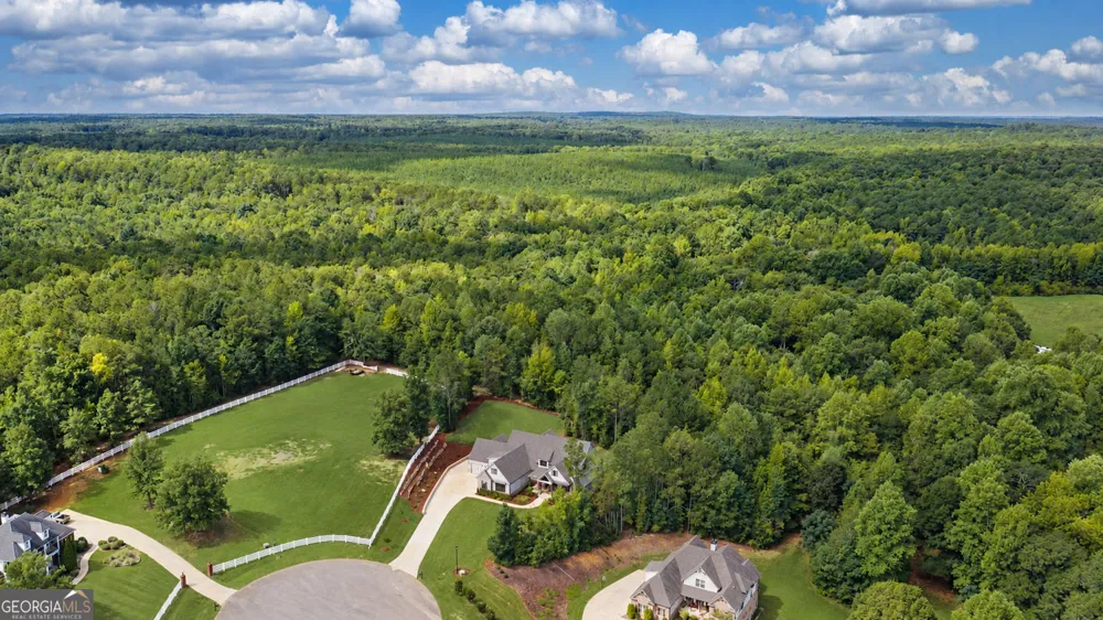 220 Preakness WAY Forsyth, GA 31029