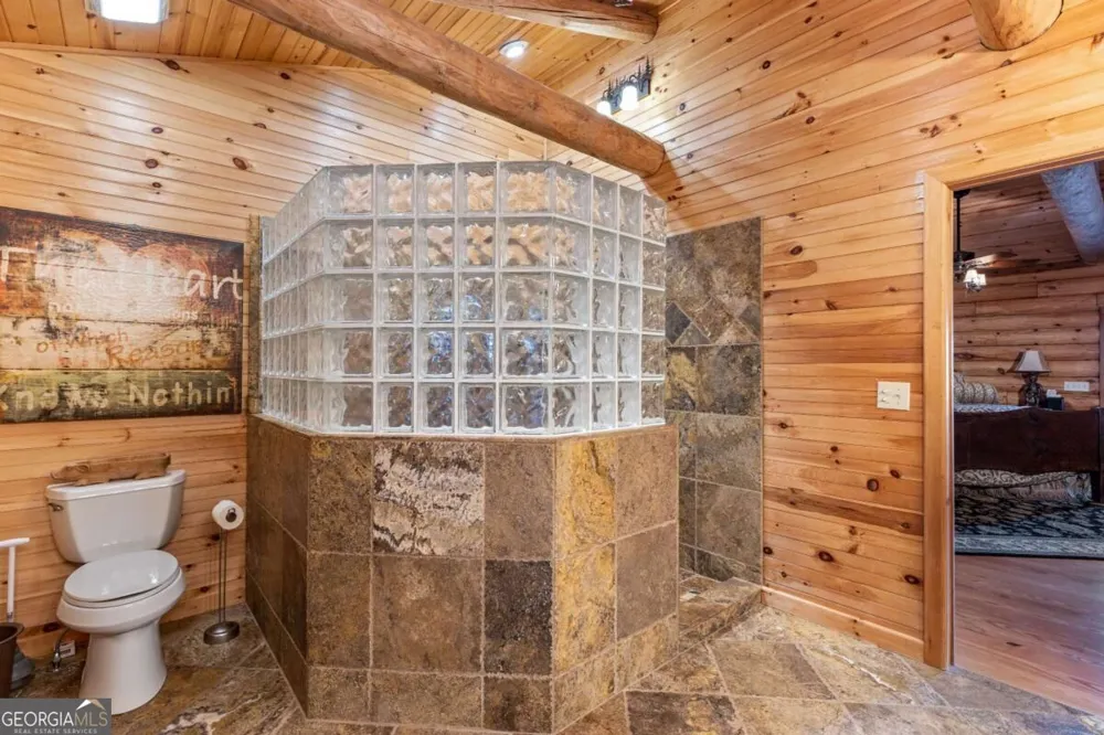 260 Observation LN Blue Ridge, GA 30513
