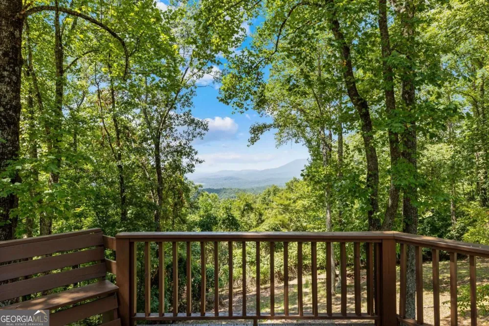 260 Observation LN Blue Ridge, GA 30513