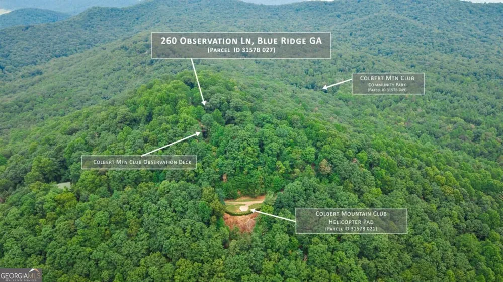 260 Observation LN Blue Ridge, GA 30513