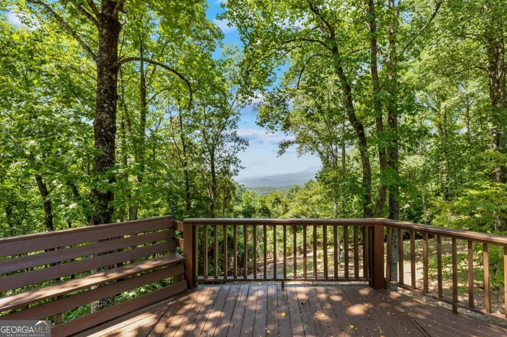 260 Observation LN Blue Ridge, GA 30513
