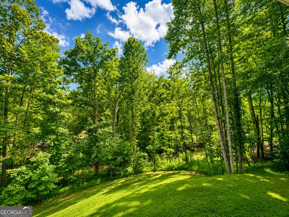 362 Pinecone Blue Ridge, GA 30513